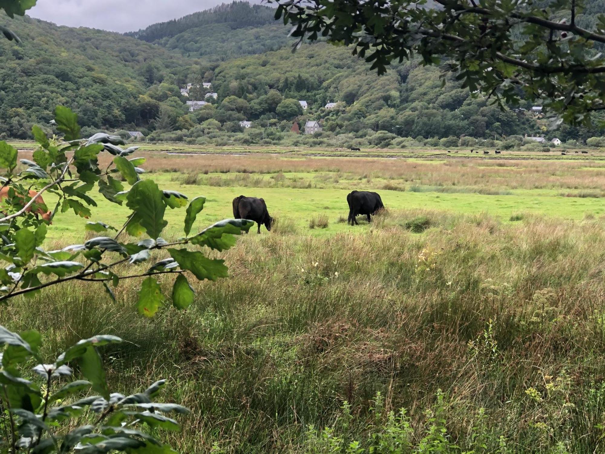 Snowdonia Mawddach Escape Dolgellau Exterior foto
