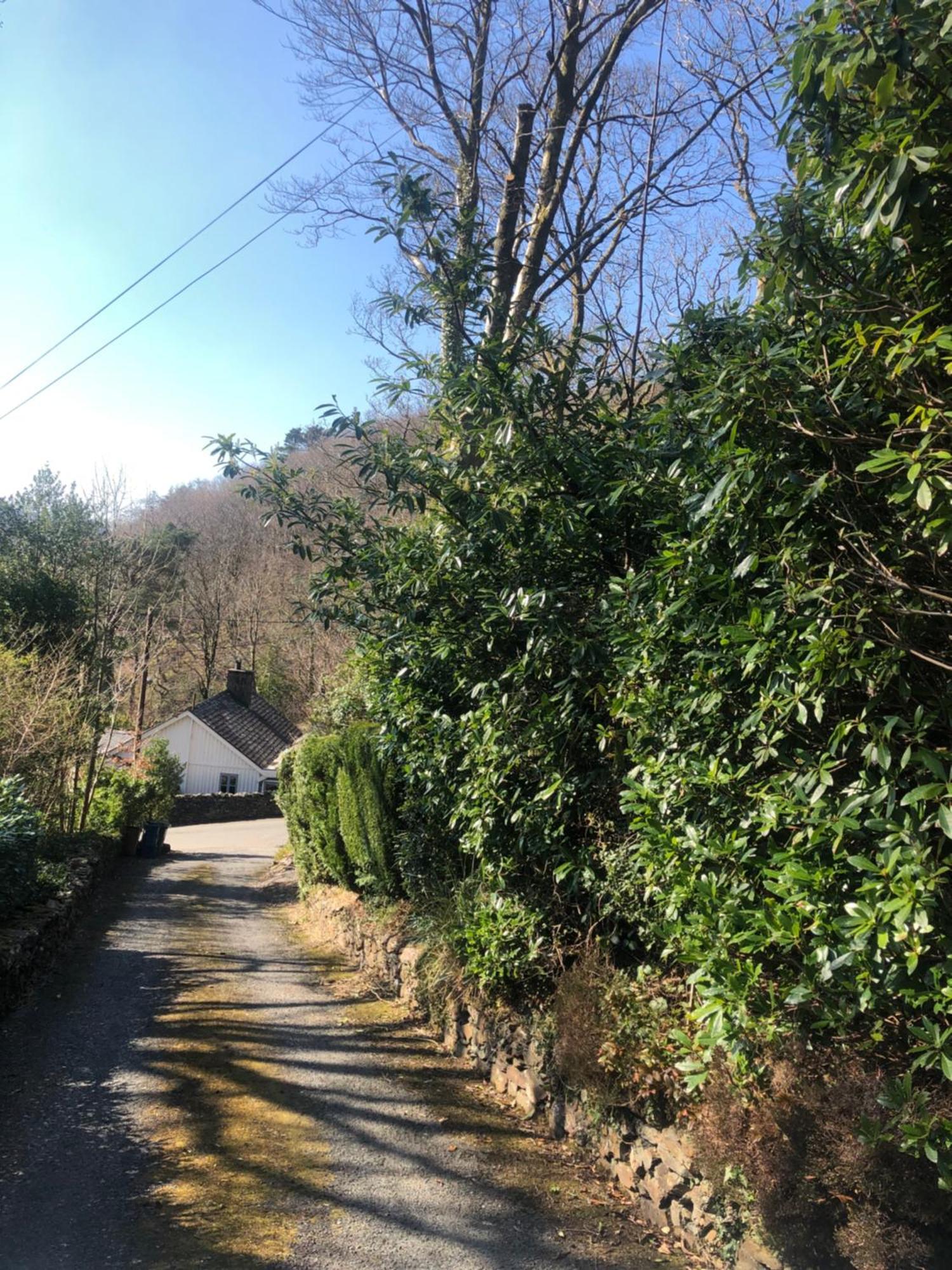 Snowdonia Mawddach Escape Dolgellau Exterior foto